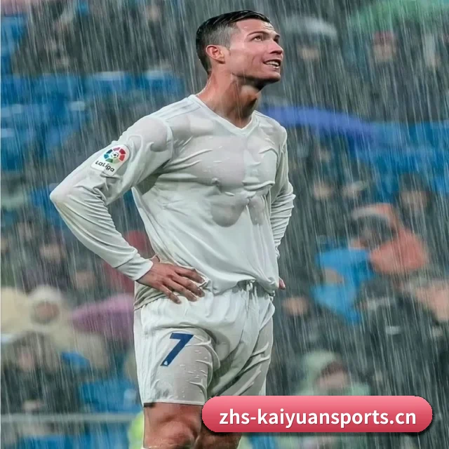 了解平台